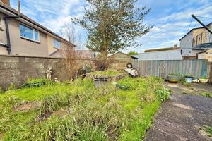 Rear Garden- click for photo gallery